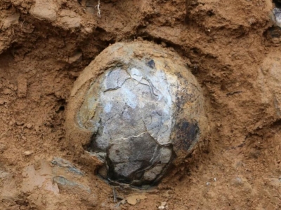 大埔大东镇惊现恐龙蛋化石？岩石啦！