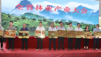 助推绿色经济崛起！梅州一批企业单位入选这个名单