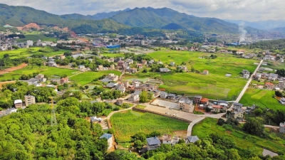 手把手教，实打实帮！在他们的帮助下，平远黄沙村炼成真“金”稳脱贫