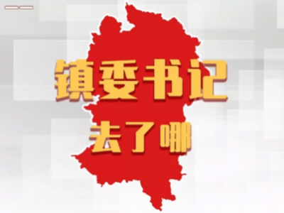 平远各镇党委书记，上周在忙什么？
