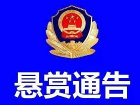 公开悬赏！认准这20名在逃犯罪嫌疑人，举报最高可获2万元！