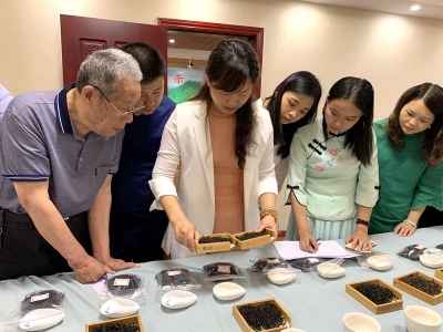 论茶叶的自我修养~今天，梅城办了这样一场比赛…