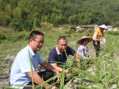兴宁市罗浮镇新南村第一书记古远洋： “两个肩膀都要挑着担子！”