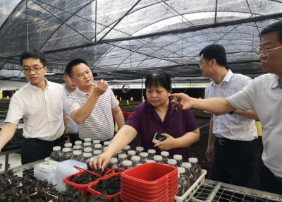 省涉农办调研组一行来梅开展涉农资金统筹整合上门服务和调研工作