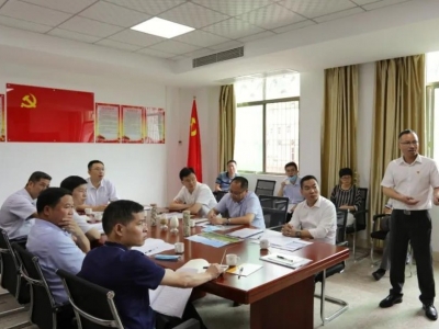 梅县区：充分发挥梅县金柚基础优势 聚力推动梅州柚高质量发展