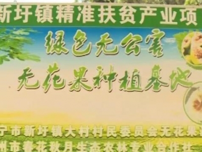 广东省科技特派员送“技”到村 助力乡村振兴
