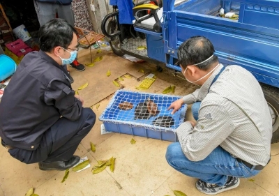 收缴野生动物110只！兴宁全力打击整治涉野生动物违法犯罪