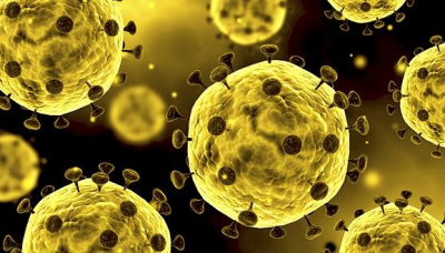 武汉国家生物安全实验室主任回应新冠病毒溯源等问题