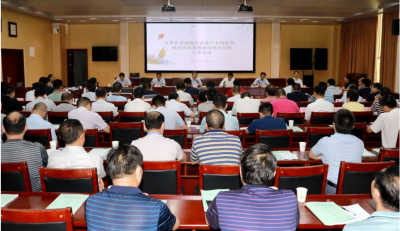 五华县省级现代农业产业园建设、创建县级国家森林城市暨河长制工作会议召开