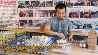 梅州V视丨开着皮卡找山货引项目助脱贫！丰顺驻村干部杨春璐变身“卖货郎”