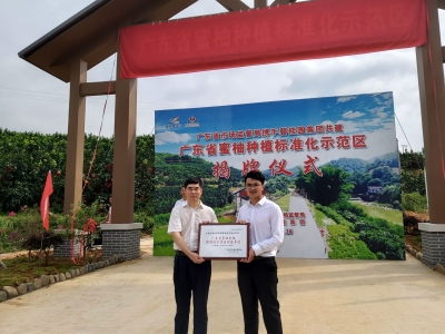 正式揭牌！大埔县多了个省级蜜柚种植示范区