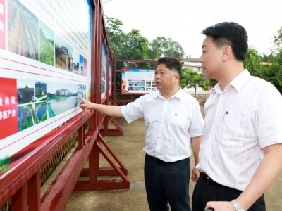 吴晖调研转水镇五星村产业发展情况