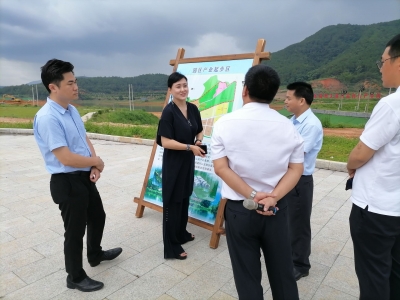 华强方特集团来梅考察，陈敏张爱军等会见