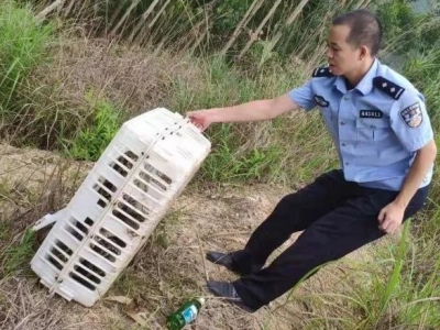 刑拘1人，查扣野生动物83只！丰顺公安在行动