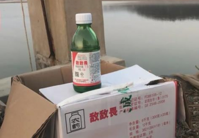 即墨海参养殖户违规使用敌敌畏 已有3名当事人被控制