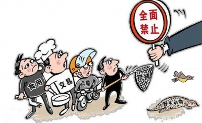 喜欢养鸟类宠物的注意！蕉岭一男子养鹦鹉被罚款  