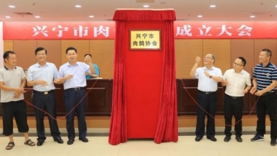让“兴宁鸽”冲出围龙、飞向全国！兴宁肉鸽协会成立