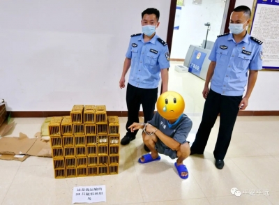 顶风作案！一男子在网上发布售卖野生鸟类信息，被警察盯上了…