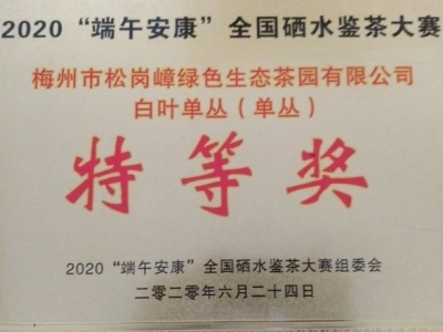 五华这款单丛茶，获2020全国硒水鉴茶大赛特等奖！