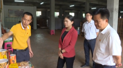 罗盛芬到大埔县调研基层党建工作