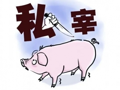 利润高、来钱快？ 兴宁这两家非法屠宰点暗中私宰生猪被取缔