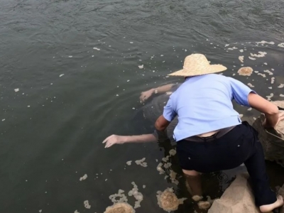 点赞！危急时刻，大埔民警成功将一名落水老人救起...