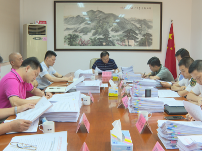 洪国华主持召开市政府党组（扩大）会议暨市政府十五届第74次常务会议