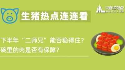 下半年“二师兄”能否稳得住？生猪热点连连看