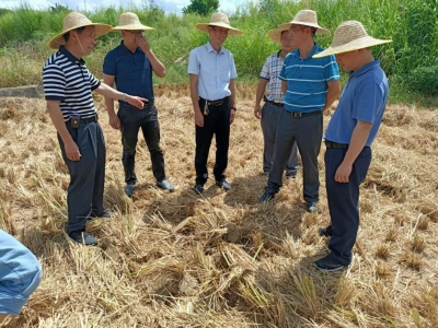 全市种植业受旱面积37万亩！梅州农业农村部门全力开展抗旱救灾...