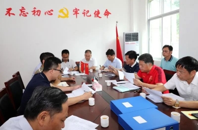 五华县委督导组到安流督导乡村振兴项目建设