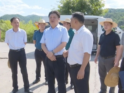 陈伟明深入新铺镇调研：矢志不渝走好乡村振兴路 真抓实干绘就“富春山居图”