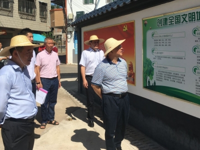 刘耿灵到梅县区程江镇督导创文工作：久久为功抓创文 善作善成创佳绩