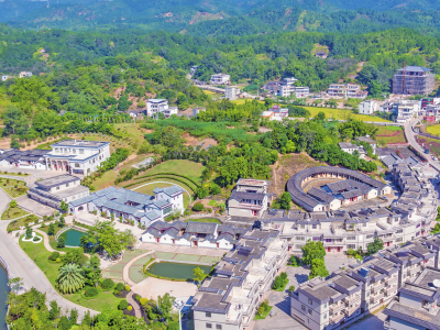 大埔县扎实做好县农民专业合作社质量提升 整县推进试点工作