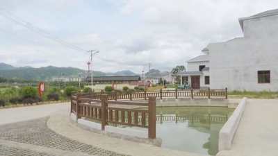 蕉岭县广福镇：持续深化改革探索创新，助力乡村振兴行稳致远