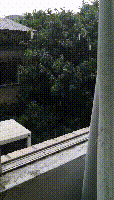 哗啦啦下开了！梅州多地雷雨大风杀到！