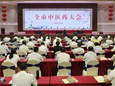 梅州中医药大会侧记：抓关键走新路促中医药大发展！