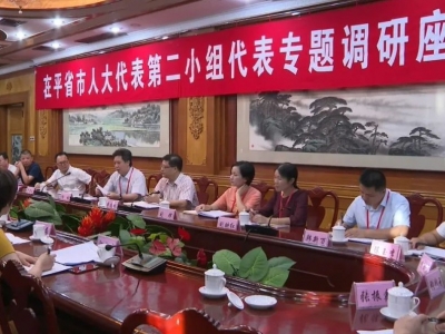在平省市人大代表第二小组开展专题调研