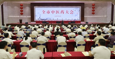 梅州V视丨梅州中医药大会召开：“望闻问切”，探索大办中医大兴中药的发展新路