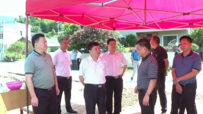 宋才华深入仁居开展“更好发挥人大代表作用”主题活动