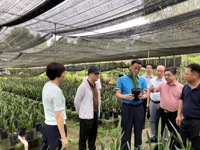 王庆利调研乡村振兴和企业发展工作：因地制宜迈出更大步伐