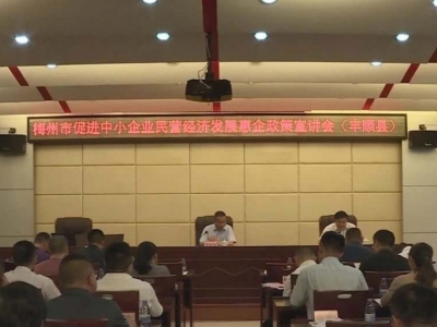 力促中小企业民营经济发展！梅州惠企政策宣讲走进丰顺