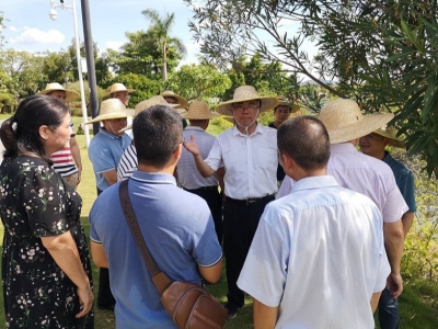 温向芳调研红色文化公园建设工作：全力以赴 确保按时按质完成任务