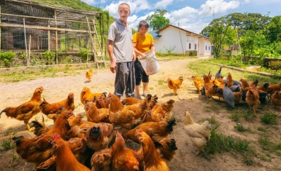 走向我们的小康生活丨脱贫又“脱单”，他用勤劳敲开“幸福门”！