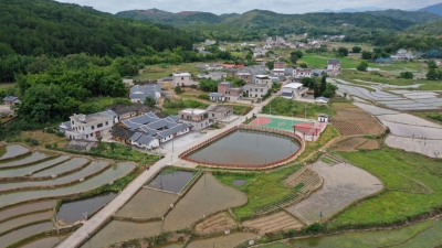 田间地头显秀气！平远这个小村开启了华丽“蝶变”...