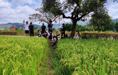 来啦！《甜蜜中国》带着“松源麦芽糖”来啦！