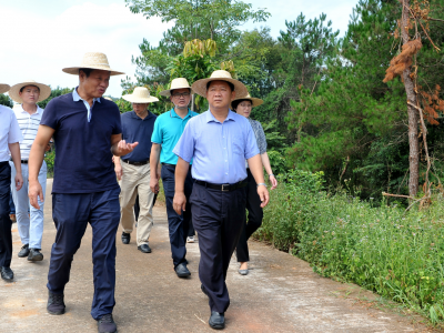 朱国城率队调研梅江区农业产业发展工作：打响“三高农业、周末农业、订单农业”品牌