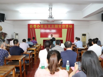 丰顺县委办党总支开展纪念中国共产党成立99周年主题党日活动