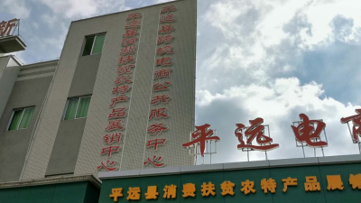 梅州首家！平远县跨境电商服务中心成立，助力农产品走出国门