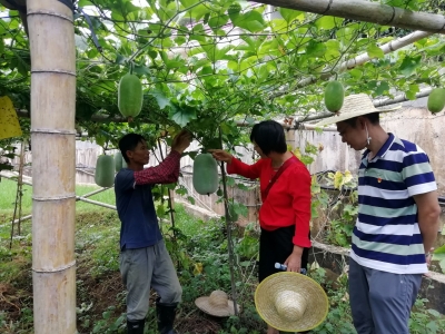 田间地头抗旱忙，他们送来了这份“高级配方”...