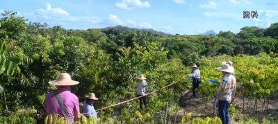 嘉应学院紫琳学院项目：“四有”工作法吹响征地攻坚号